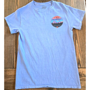 Vintage Silverton Colorado T Shirt Small Blue Graphic Hiking Mountain Tee Y2K